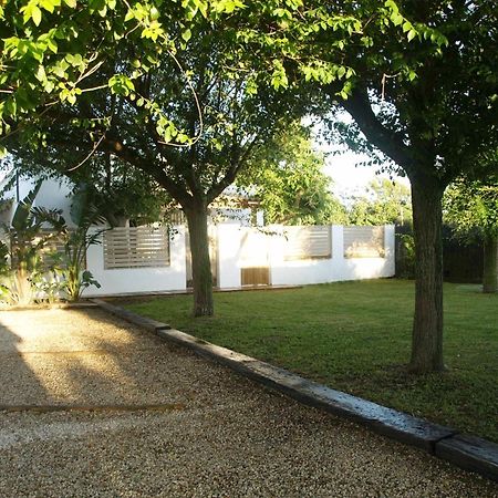Bedandbeach El Palmar de Vejer Exterior foto